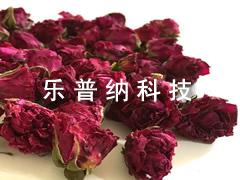 玫瑰花冠